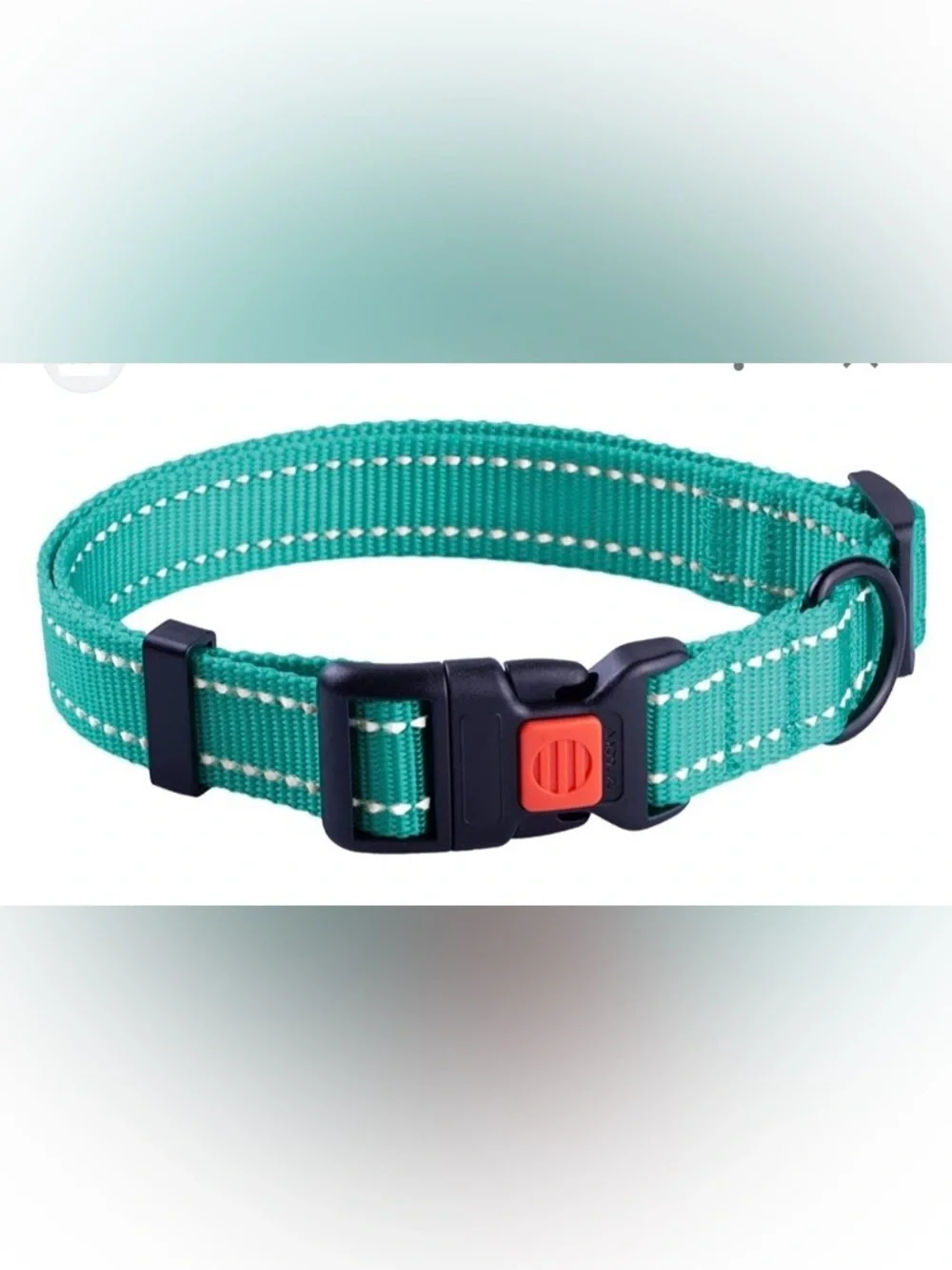 CollarDirect Adjustable Reflective Nylon Dog Collar, Mint Green, X-Small